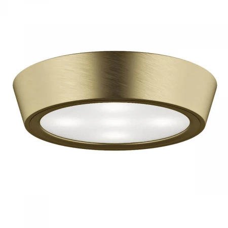 Потолочный светильник Lightstar Urbano Mini LED 214712