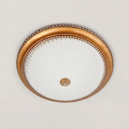 Потолочный светильник Citilux Тренди-2 CL425502