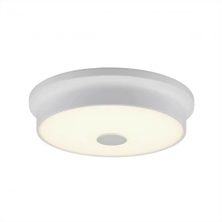 Потолочный светодиодный светильник Citilux Фостер-2 CL706220