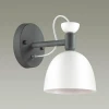 Бра Lumion Fiona 3687/1W